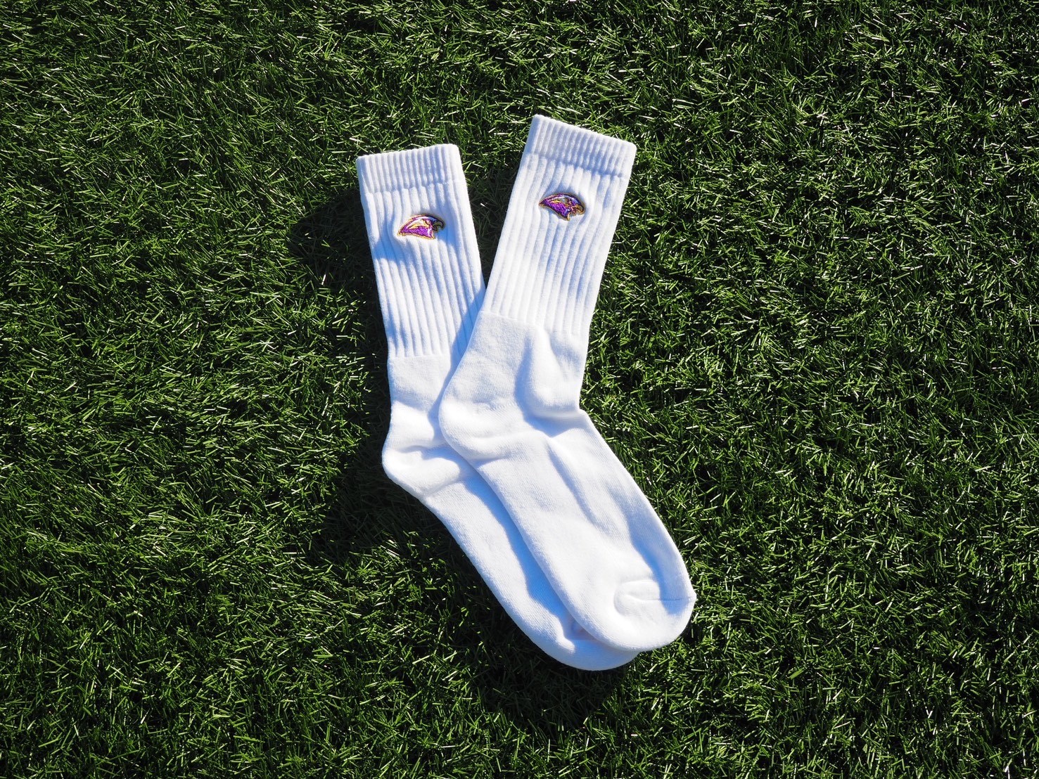 お知らせ：サムネイル画像